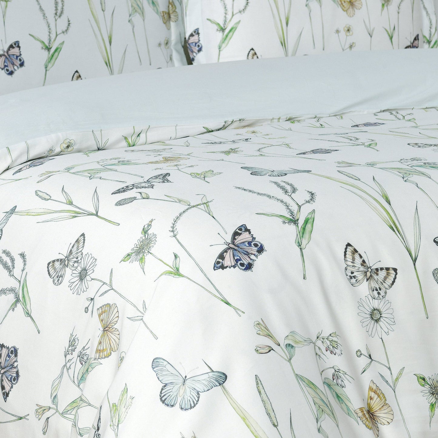 Seagate Spring- Aqua