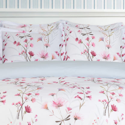 Daisy Dreams - Blush