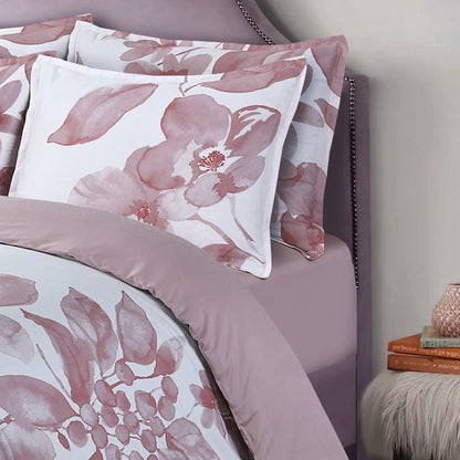 Brussels Beauty - Rose