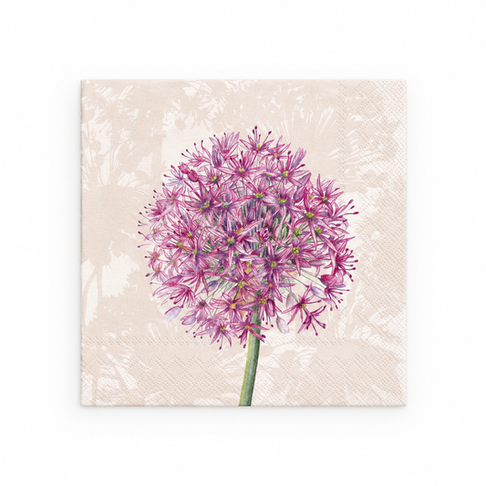 Allium Cream Cocktail Napkins 20pk