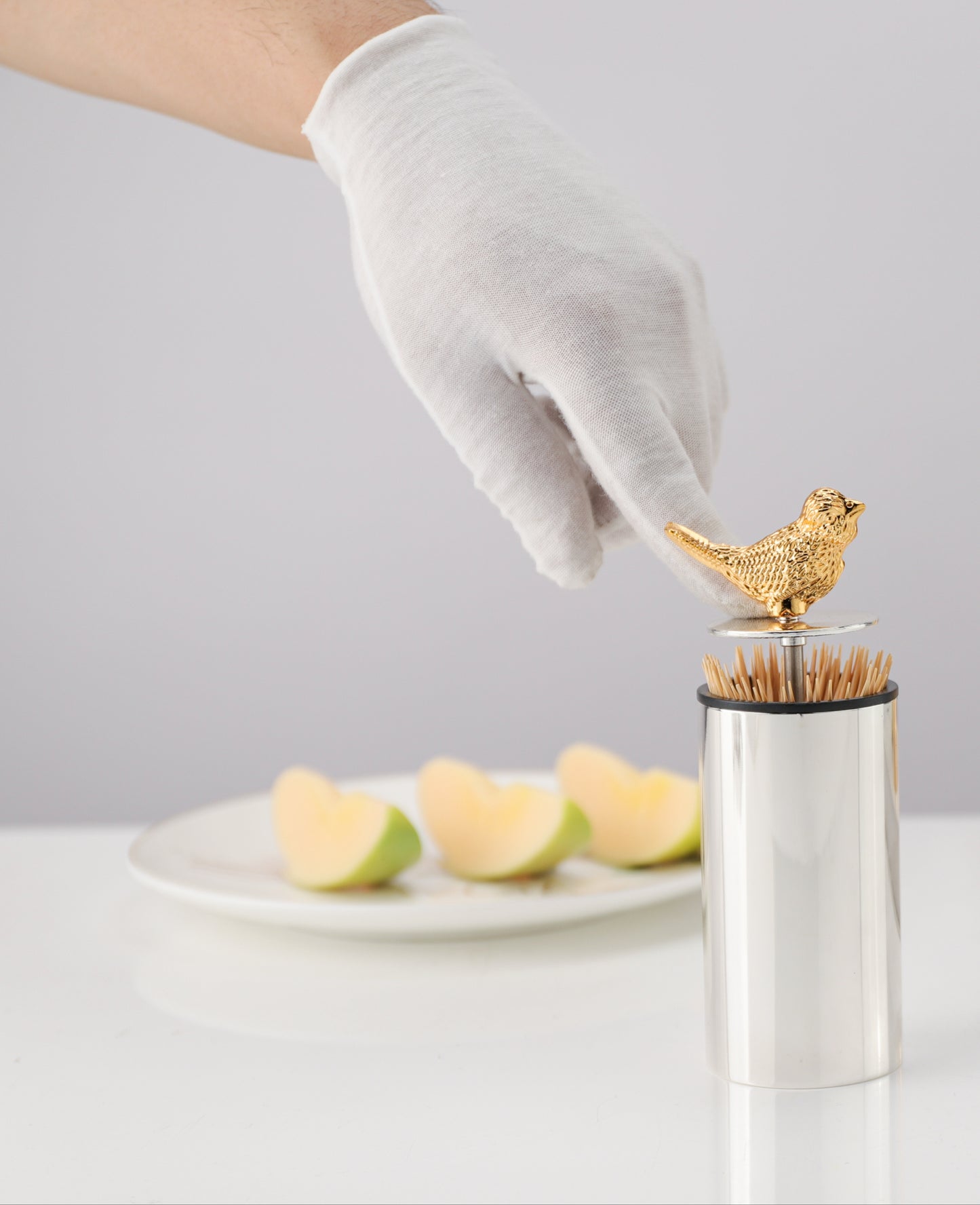 Bird Toothpick Dispenser
