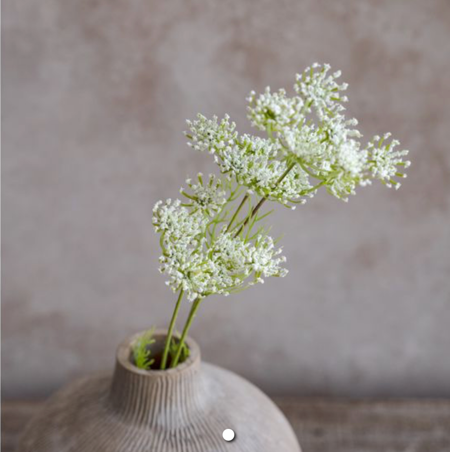 20” Queen Anne’s Lace Stem