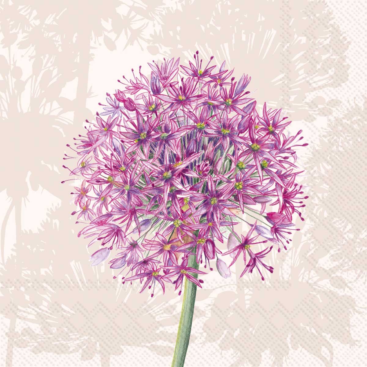 Allium Cream Cocktail Napkins 20pk