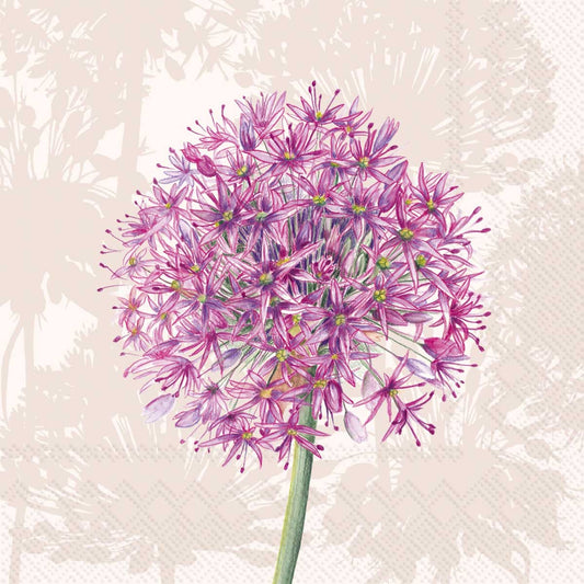Allium Cream Cocktail Napkins 20pk